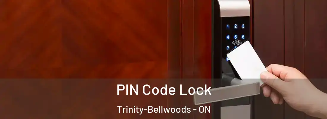  PIN Code Lock Trinity-Bellwoods - ON