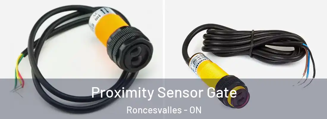  Proximity Sensor Gate Roncesvalles - ON