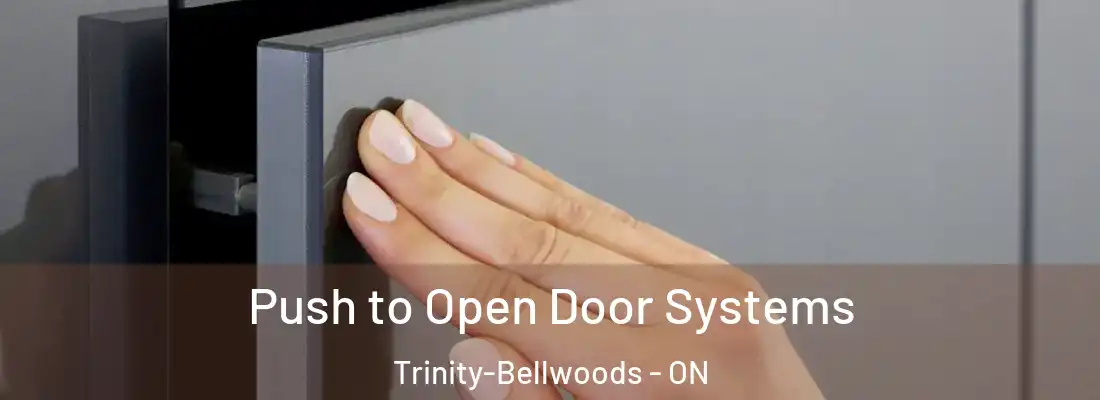  Push to Open Door Systems Trinity-Bellwoods - ON