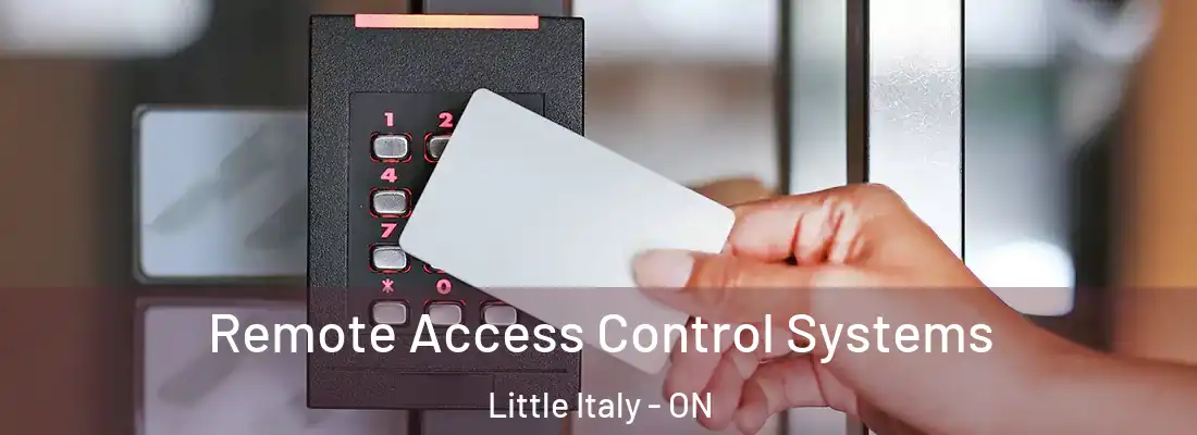  Remote Access Control Systems Little Italy - ON