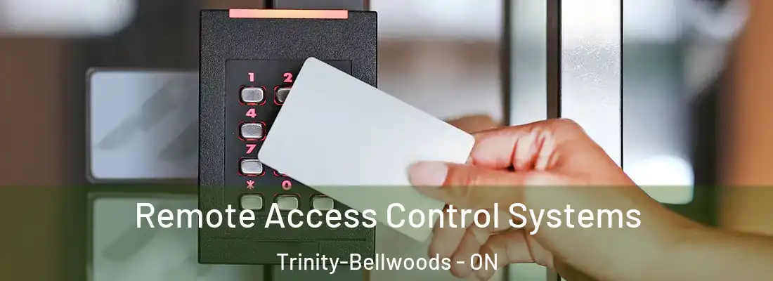  Remote Access Control Systems Trinity-Bellwoods - ON