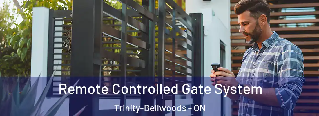  Remote Controlled Gate System Trinity-Bellwoods - ON