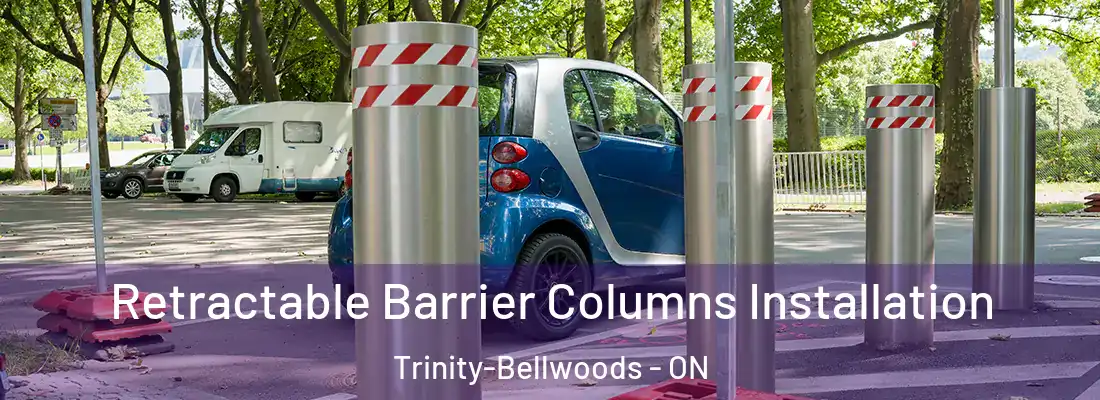  Retractable Barrier Columns Installation Trinity-Bellwoods - ON