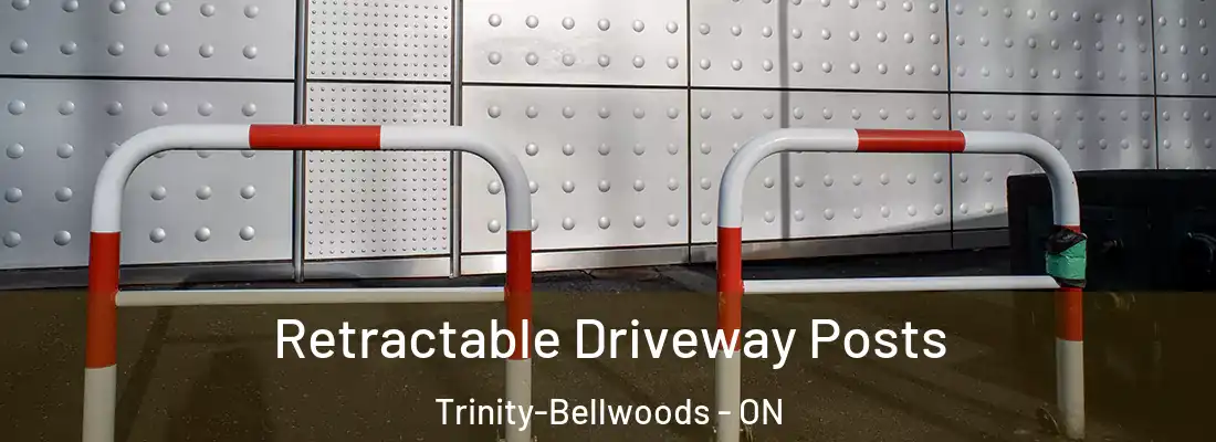  Retractable Driveway Posts Trinity-Bellwoods - ON