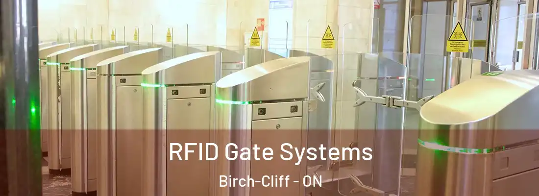  RFID Gate Systems Birch-Cliff - ON