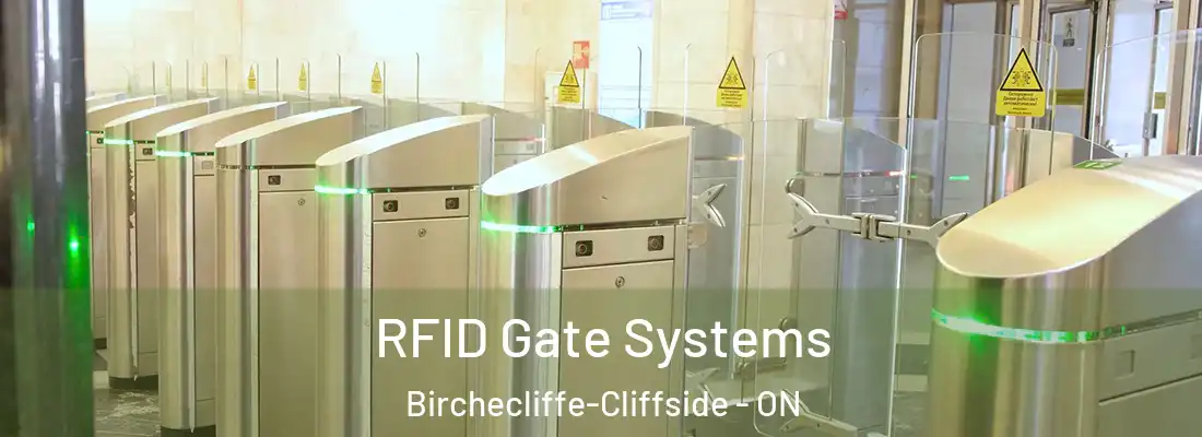  RFID Gate Systems Birchecliffe-Cliffside - ON