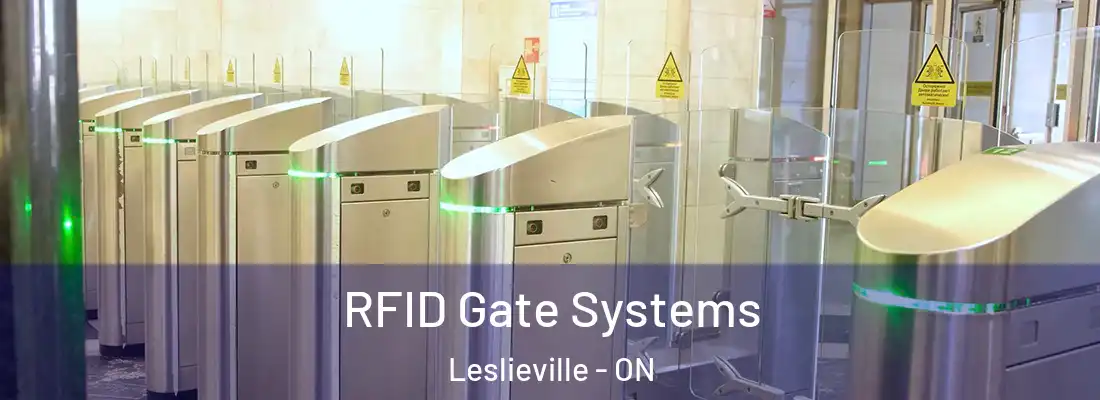  RFID Gate Systems Leslieville - ON