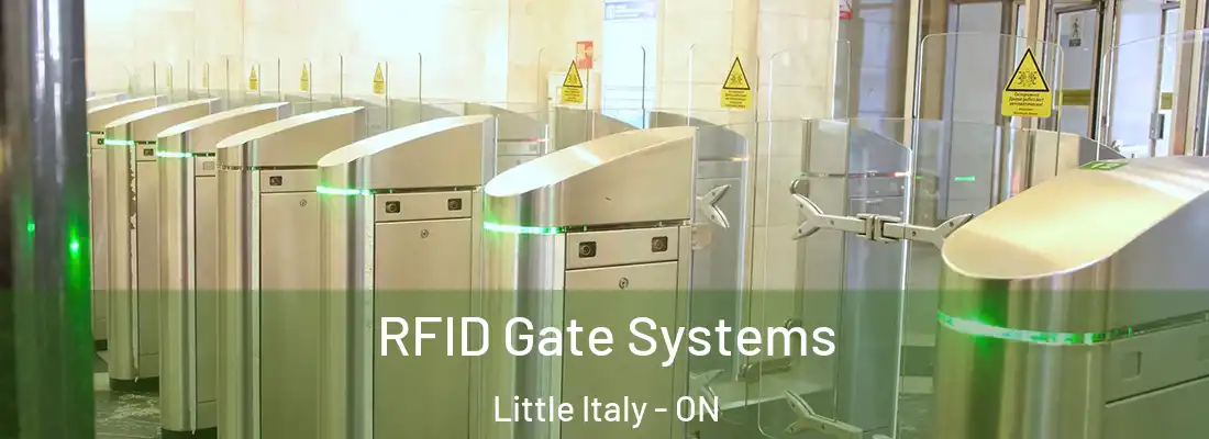  RFID Gate Systems Little Italy - ON