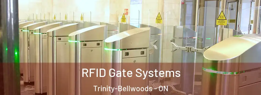  RFID Gate Systems Trinity-Bellwoods - ON