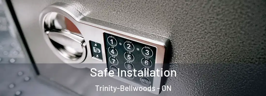  Safe Installation Trinity-Bellwoods - ON
