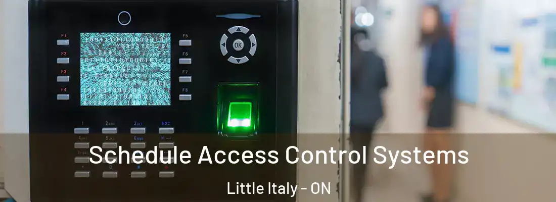  Schedule Access Control Systems Little Italy - ON