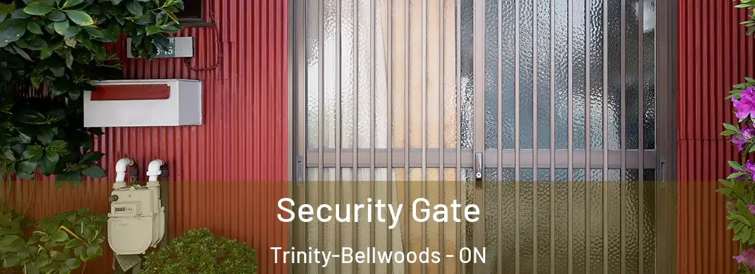  Security Gate Trinity-Bellwoods - ON