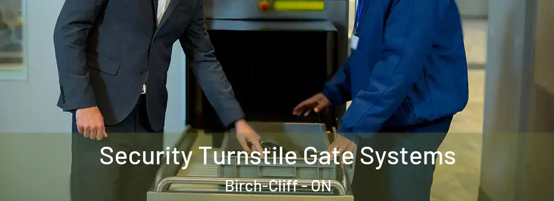  Security Turnstile Gate Systems Birch-Cliff - ON