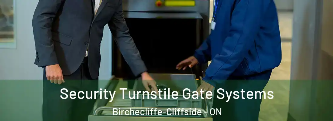 Security Turnstile Gate Systems Birchecliffe-Cliffside - ON