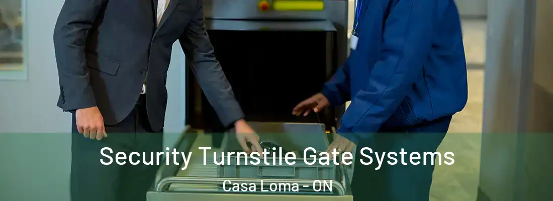  Security Turnstile Gate Systems Casa Loma - ON