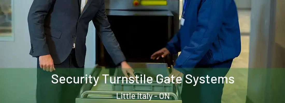  Security Turnstile Gate Systems Little Italy - ON
