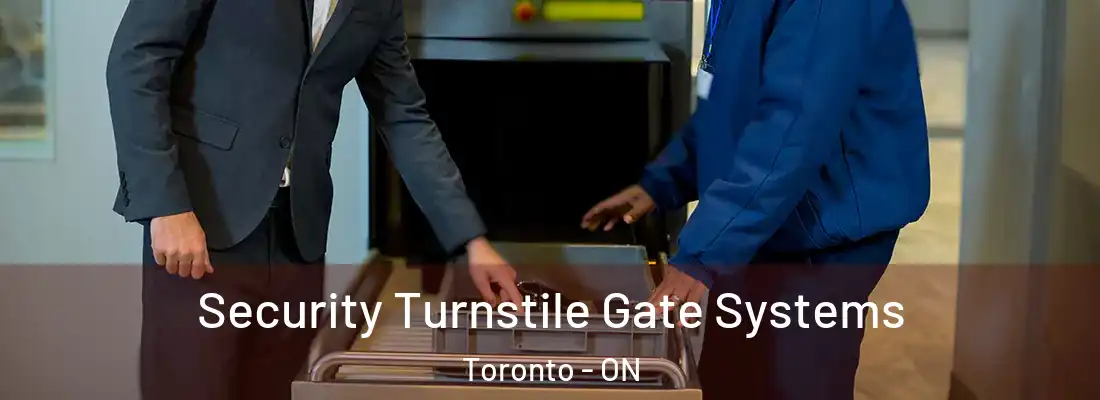  Security Turnstile Gate Systems Toronto - ON