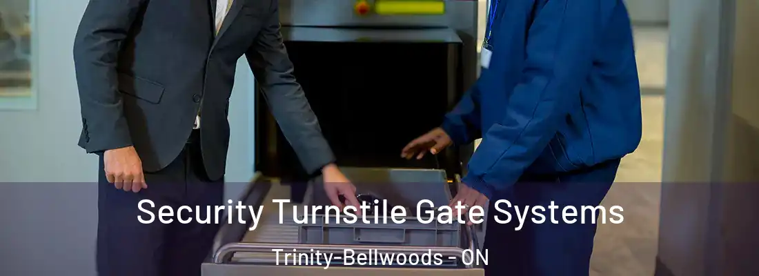  Security Turnstile Gate Systems Trinity-Bellwoods - ON