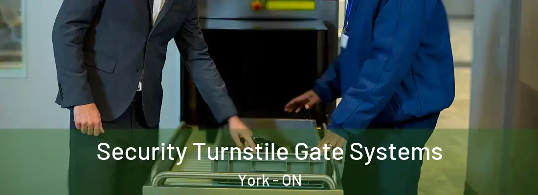  Security Turnstile Gate Systems York - ON