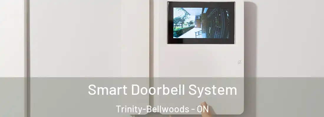  Smart Doorbell System Trinity-Bellwoods - ON