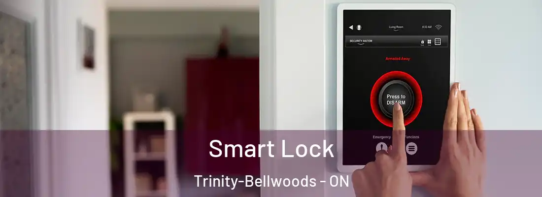  Smart Lock Trinity-Bellwoods - ON