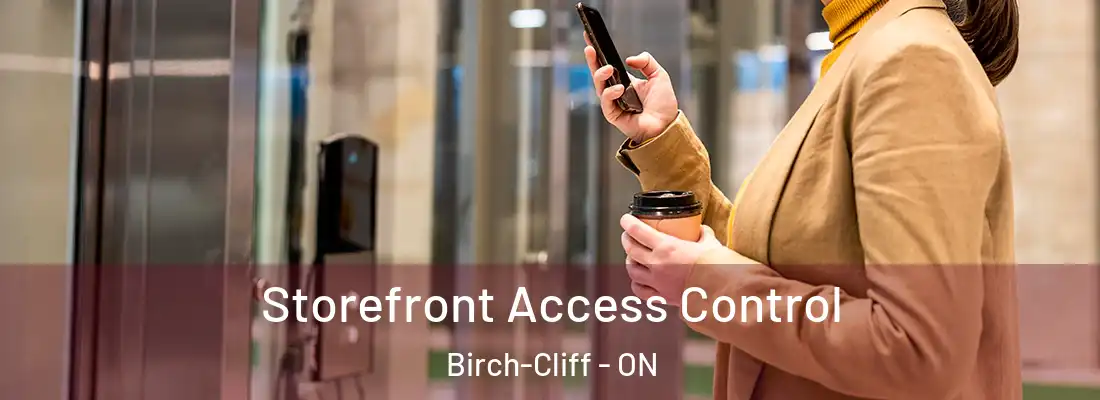  Storefront Access Control Birch-Cliff - ON