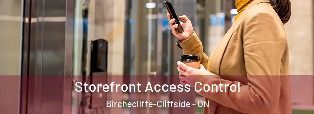  Storefront Access Control Birchecliffe-Cliffside - ON