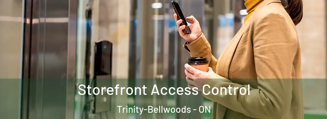  Storefront Access Control Trinity-Bellwoods - ON