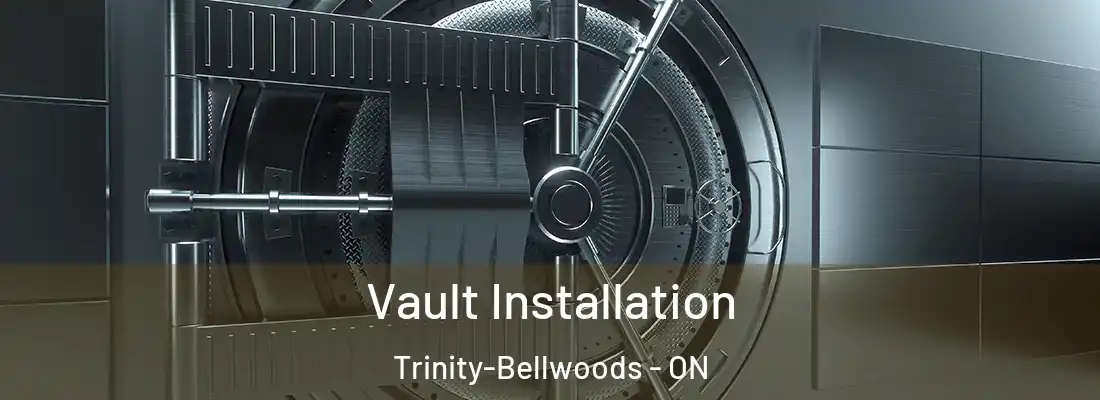  Vault Installation Trinity-Bellwoods - ON