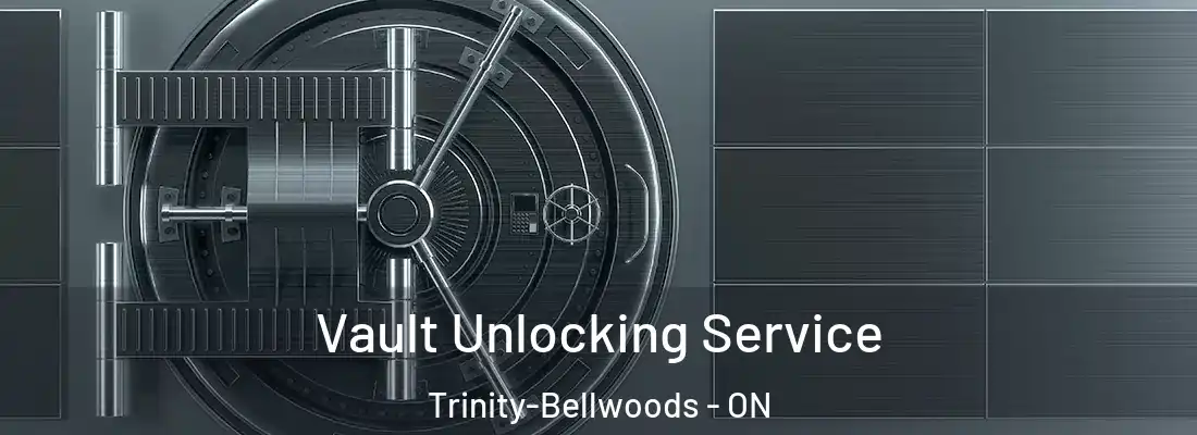  Vault Unlocking Service Trinity-Bellwoods - ON
