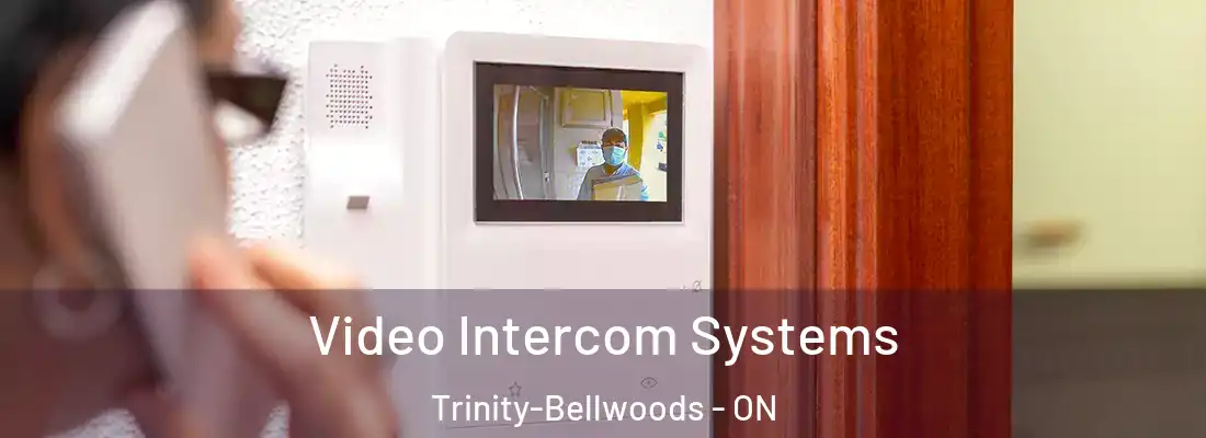  Video Intercom Systems Trinity-Bellwoods - ON