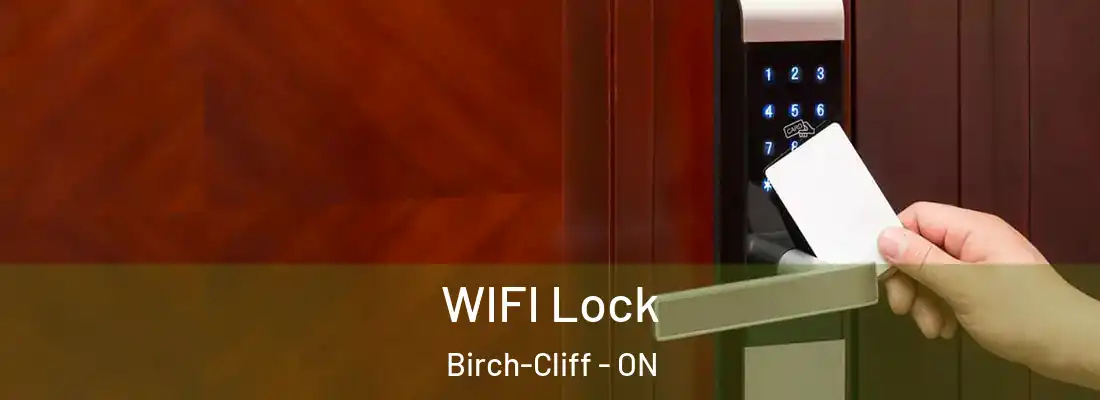  WIFI Lock Birch-Cliff - ON