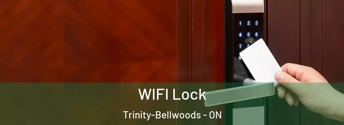  WIFI Lock Trinity-Bellwoods - ON